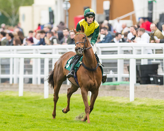 Race 5 - Mares (82 of 399)