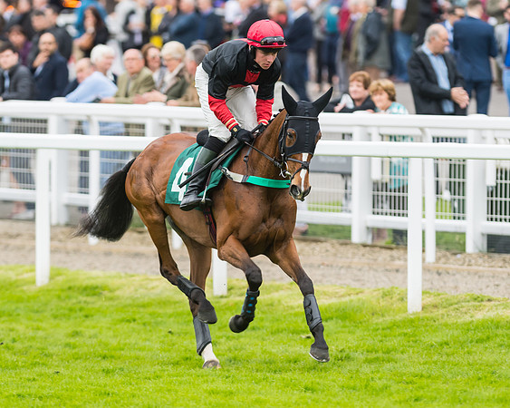Race 5 - Mares (83 of 399)
