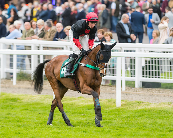 Race 5 - Mares (84 of 399)
