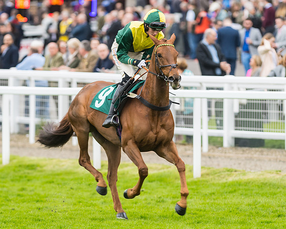 Race 5 - Mares (85 of 399)