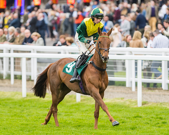 Race 5 - Mares (87 of 399)