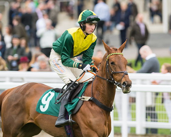 Race 5 - Mares (88 of 399)