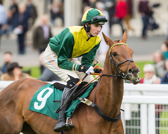 Race 5 - Mares (90 of 399)