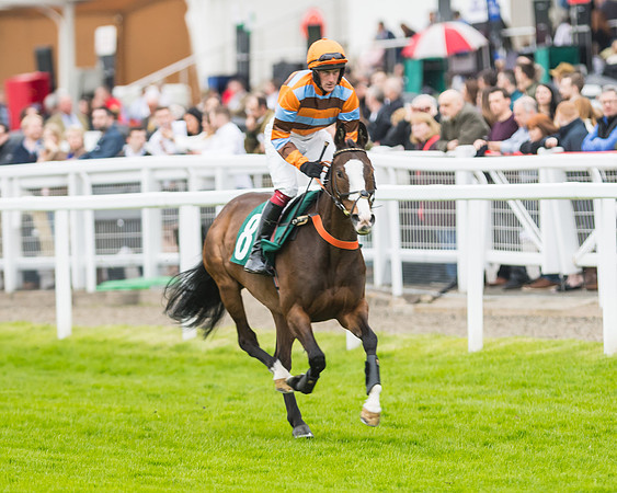Race 5 - Mares (93 of 399)