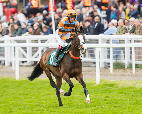 Race 5 - Mares (94 of 399)