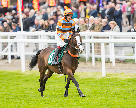 Race 5 - Mares (96 of 399)