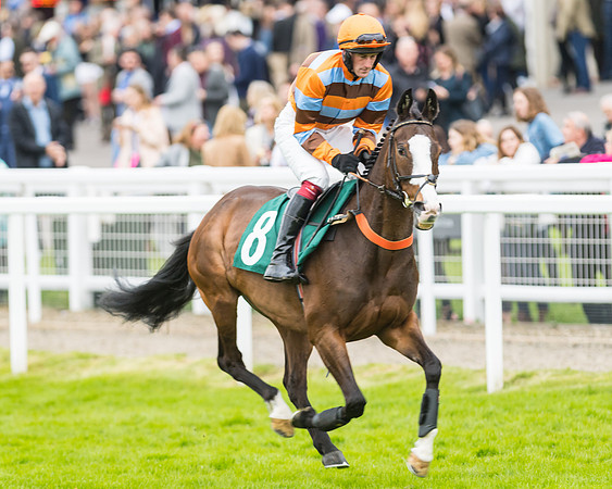 Race 5 - Mares (98 of 399)