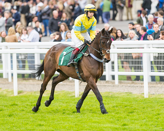 Race 5 - Mares (104 of 399)