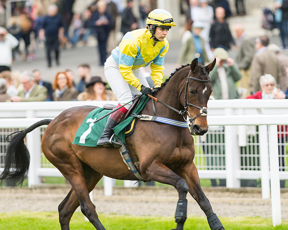 Race 5 - Mares (107 of 399)