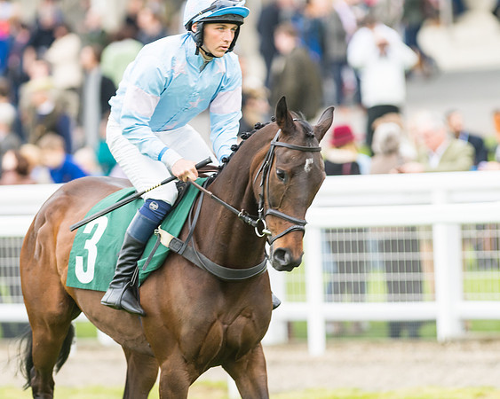 Race 5 - Mares (109 of 399)