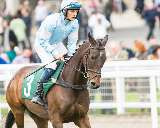 Race 5 - Mares (110 of 399)