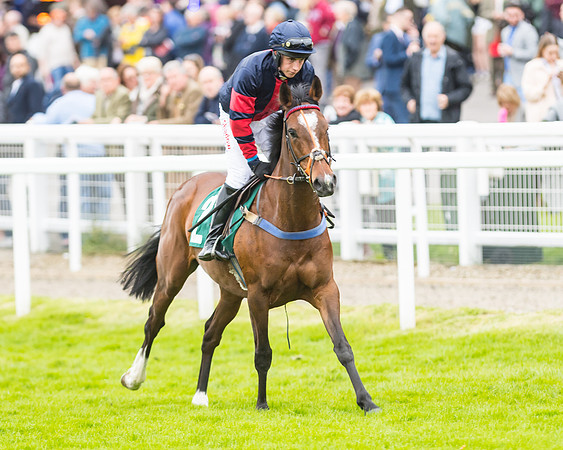 Race 5 - Mares (115 of 399)