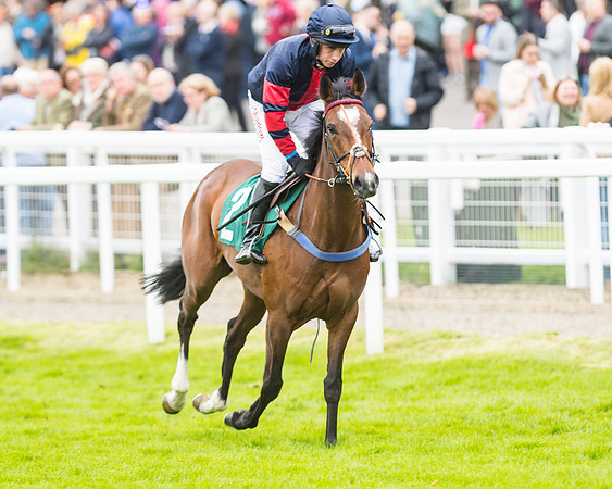 Race 5 - Mares (116 of 399)