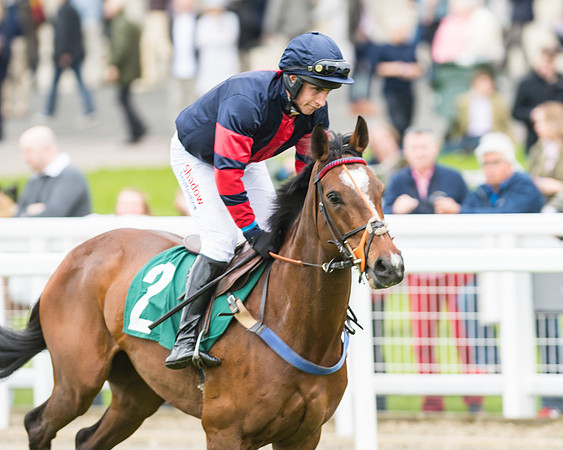 Race 5 - Mares (117 of 399)