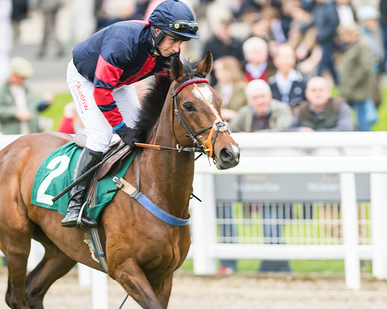 Race 5 - Mares (118 of 399)