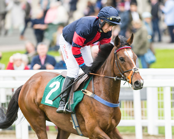 Race 5 - Mares (119 of 399)