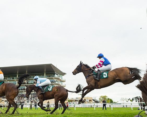 Race 5 - Mares (125 of 399)