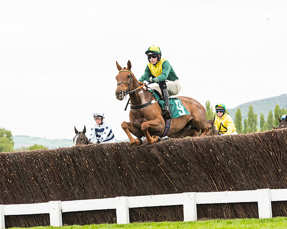 Race 5 - Mares (128 of 399)