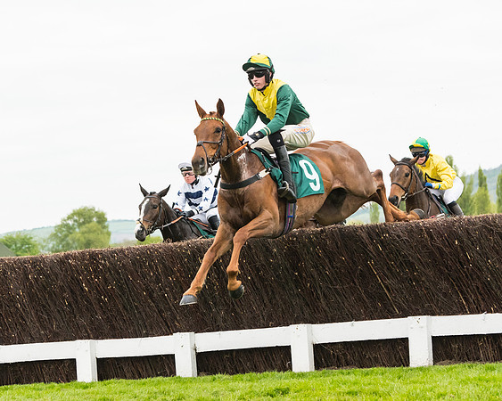 Race 5 - Mares (129 of 399)