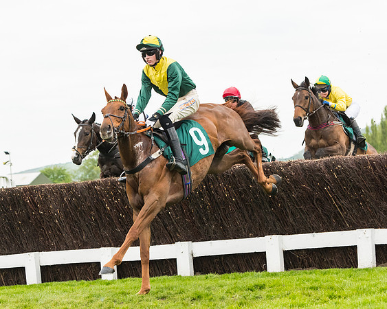 Race 5 - Mares (130 of 399)