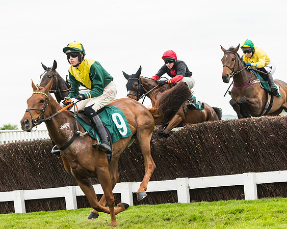 Race 5 - Mares (131 of 399)