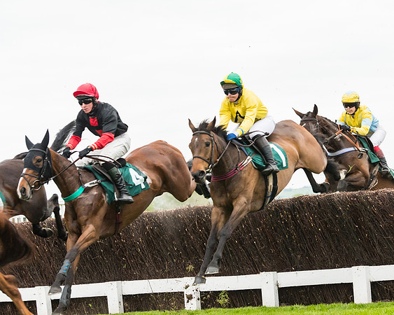 Race 5 - Mares (132 of 399)