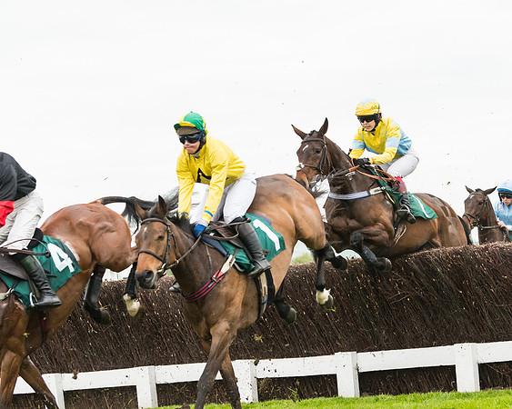 Race 5 - Mares (133 of 399)