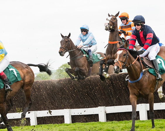 Race 5 - Mares (136 of 399)