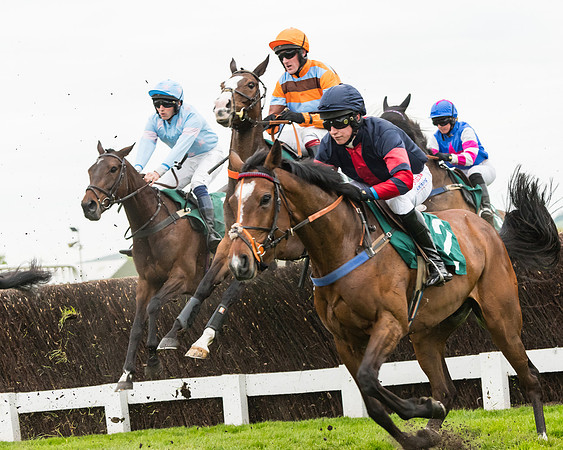 Race 5 - Mares (137 of 399)