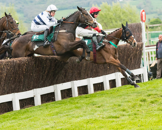 Race 5 - Mares (163 of 399)