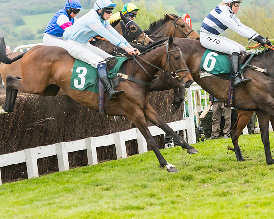 Race 5 - Mares (165 of 399)