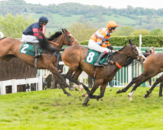 Race 5 - Mares (166 of 399)