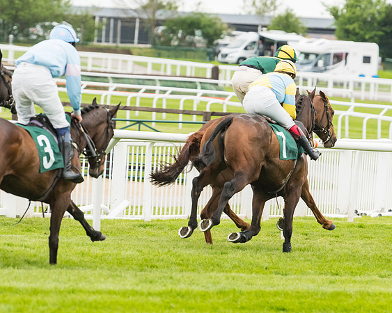 Race 5 - Mares (167 of 399)