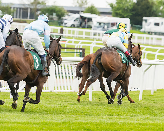 Race 5 - Mares (168 of 399)