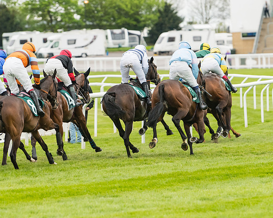 Race 5 - Mares (170 of 399)