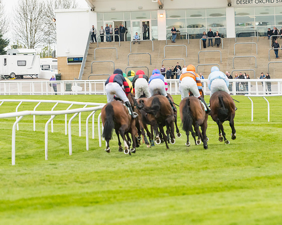 Race 5 - Mares (171 of 399)