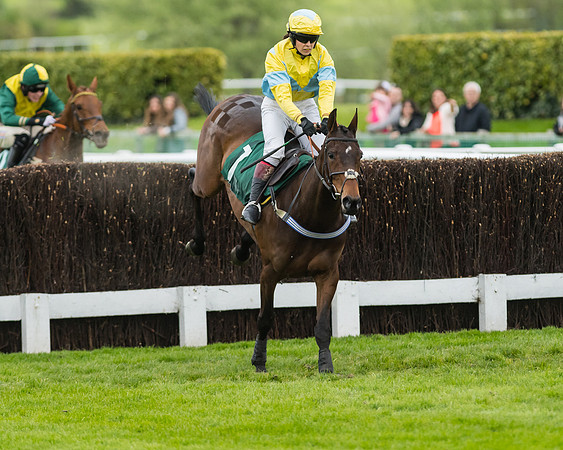 Race 5 - Mares (181 of 399)