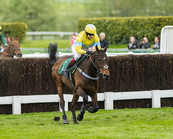 Race 5 - Mares (183 of 399)
