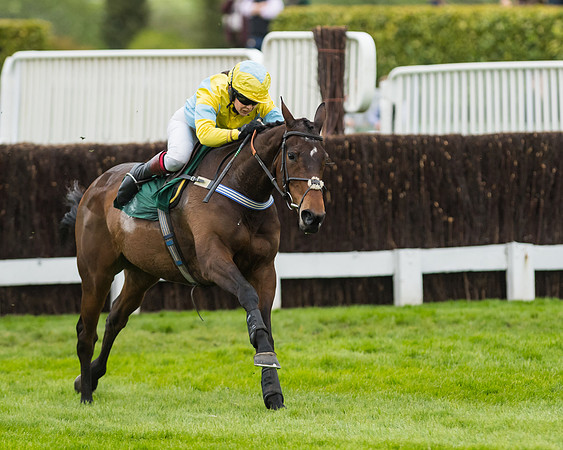 Race 5 - Mares (185 of 399)
