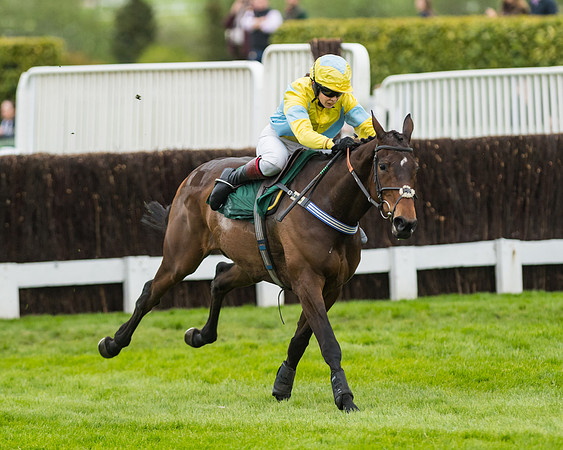Race 5 - Mares (186 of 399)