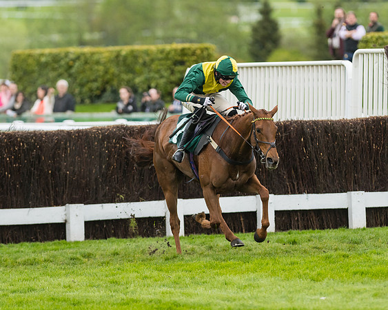 Race 5 - Mares (188 of 399)