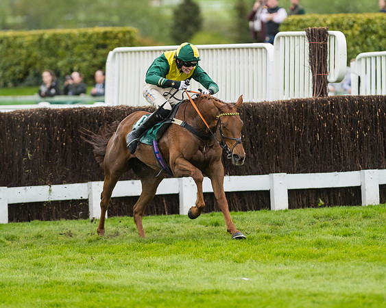 Race 5 - Mares (189 of 399)