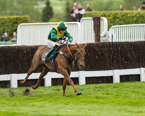 Race 5 - Mares (190 of 399)