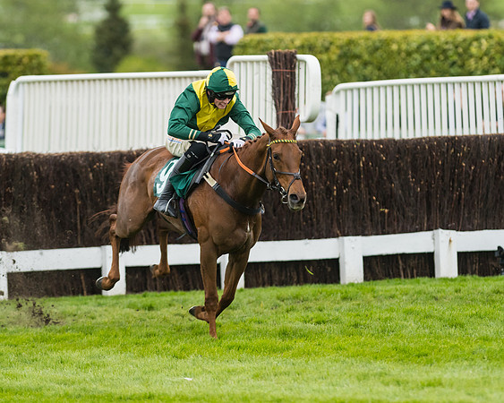 Race 5 - Mares (191 of 399)