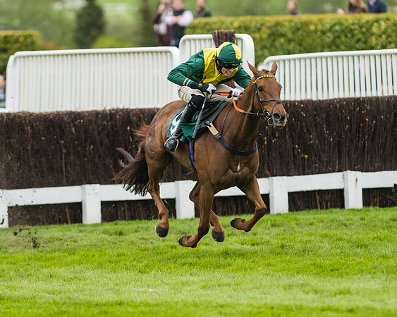 Race 5 - Mares (192 of 399)