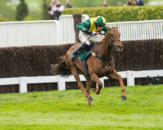 Race 5 - Mares (193 of 399)