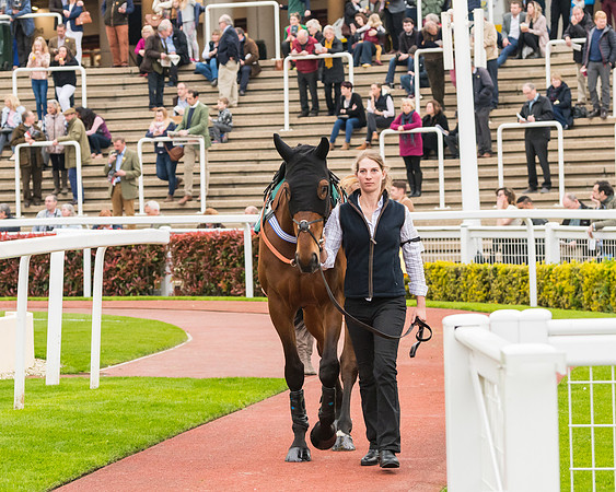 Race 6 - 4 Miler (12 of 379)