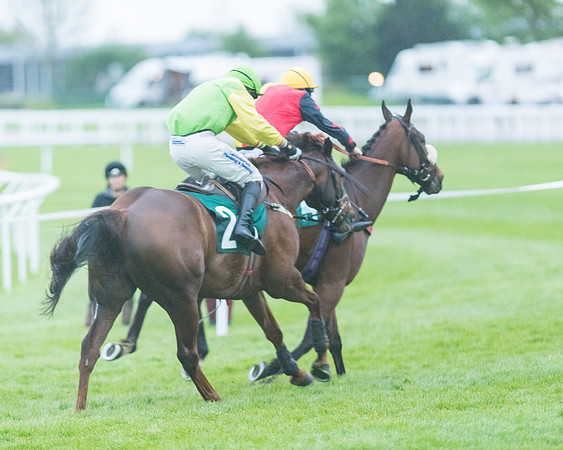 Mr Mercurial - Henry Crow