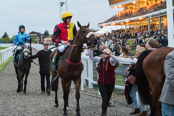 Mr Mercurial - Henry Crow
