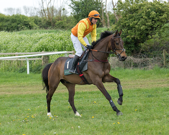 Race 6 - Restricted (88 of 173)
